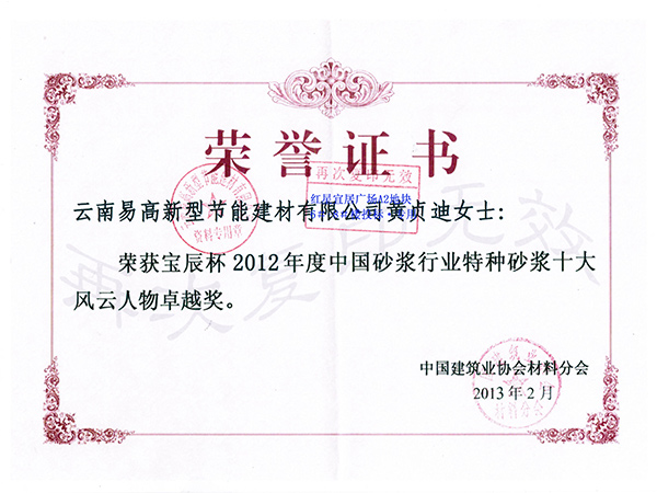 風(fēng)云人物榮譽(yù)證書-易高