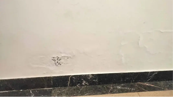 盤點(diǎn)裝修時導(dǎo)致膩?zhàn)臃燮鹋莸闹饕蚝蛻?yīng)對措施